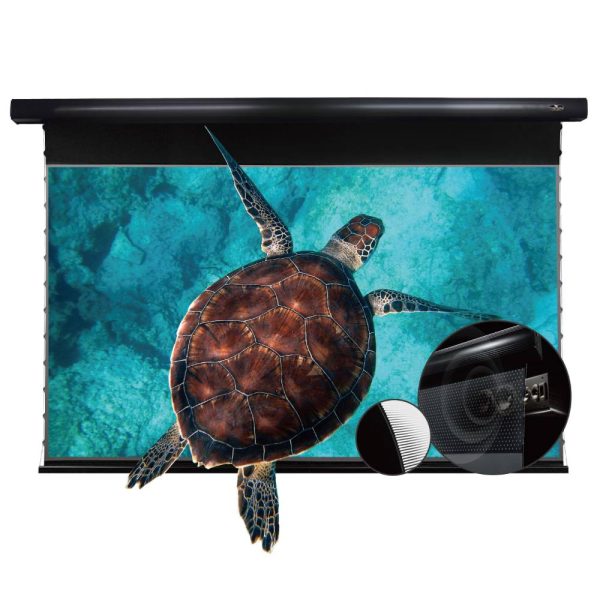 PRO P Slimline Motorised Drop Down Projector Screen With Ultra Short Throw Ambient Light Rejecting (For UST ALR Laser Projector) (Sound Perforated Acoustic Transparent)