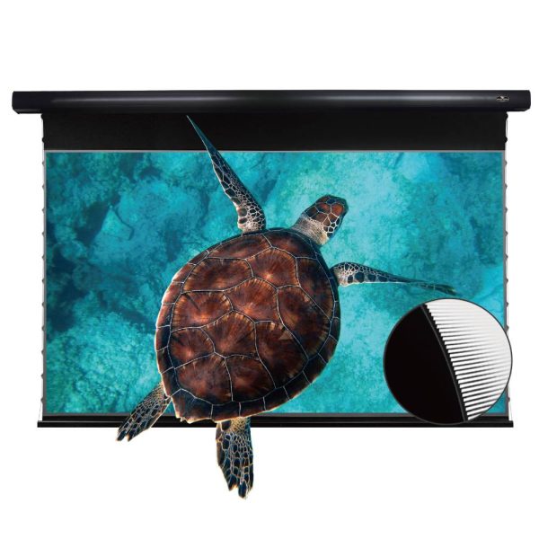 PRO Slimline Motorised Drop Down Projector Screen With Ultra Short Throw Ambient Light Rejecting (For UST ALR Laser Projectors)