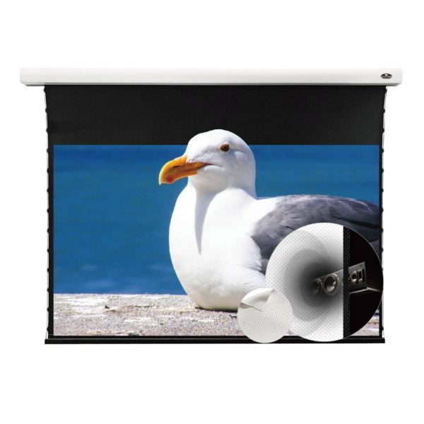 Slimline Motorised Drop Down Projector Screen (With White Cinema Material) (For Normal Projector) (Sound Perforated Acoustic Transparent)