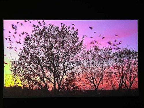 Click to view full screen VIVIDSTORM S PRO Motorised Floor Rising ALR/CLR UST Laser Projector Screen photo review