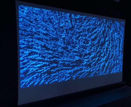 Click to view full screen VIVIDSTORM S White Cinema Motorised Floor Rising Projector Screen (With White Cinema Material) (For Standard Throw Projectors) photo review