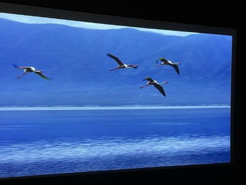 Click to view full screen BUNDLE AWOL Vision 4K LTV-3500 Pro Triple Laser TV + VIVIDSTORM S Pro Motorized CLR/ALR Projector Screen Package Deal photo review