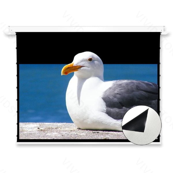 VIVIDSTORM PHANTOM Recessed In-Ceiling Motorized Tension White Cinema Projector Screen