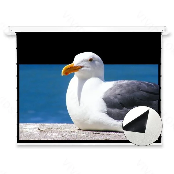 VIVIDSTORM PHANTOM Recessed In-Ceiling Motorized Tension White Cinema Projector Screen